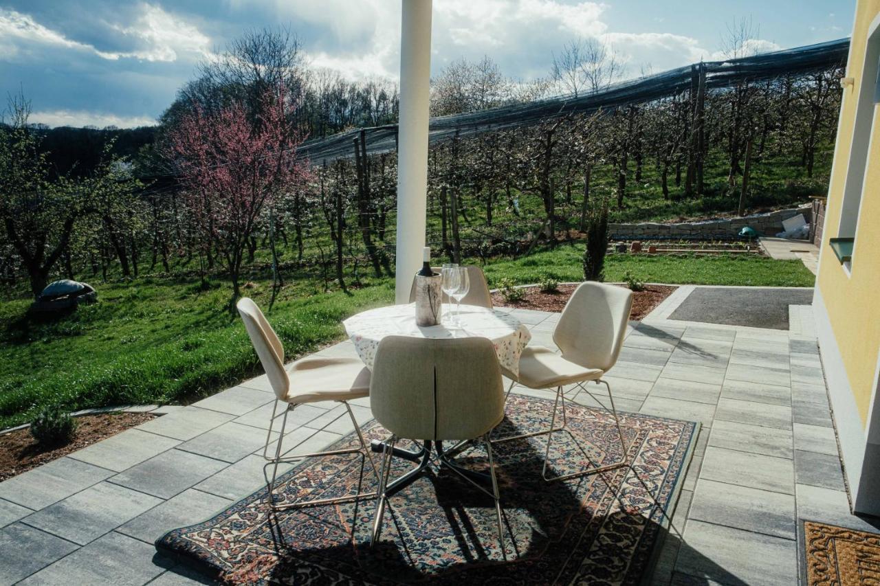 Gaestehaus Jeindl Hartmannsdorf エクステリア 写真